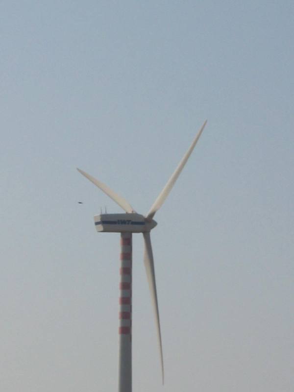 sardegna 2008 162